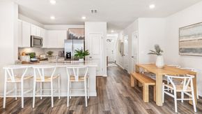 Braden Pointe - Bradenton, FL