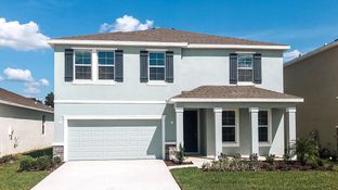 Hemingway - Ridge at Heath Brook: Ocala, Florida - D.R. Horton