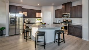 H221 Meridian - Lilybrooke at Legacy Hills: Celina, Texas - D.R. Horton