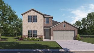 COPAIBA - Lilybrooke at Legacy Hills: Celina, Texas - D.R. Horton