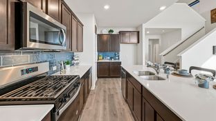 ALPINE - Lilybrooke at Legacy Hills: Celina, Texas - D.R. Horton