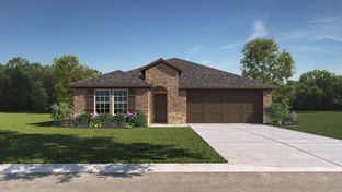 VIOLET - Lilybrooke at Legacy Hills: Celina, Texas - D.R. Horton