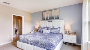 ALLEX - Avalon Park Tavares: Tavares, Florida - D.R. Horton Basic