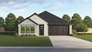 2025 Aspen - Morning Ridge: Princeton, Texas - D.R. Horton