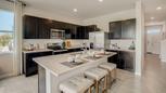 Towns at Woodsdale - Wesley Chapel, FL