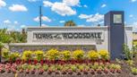 Towns at Woodsdale - Wesley Chapel, FL