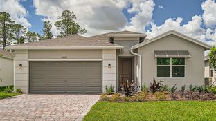 Delaney - Preserves at Park Trace: Stuart, Florida - D.R. Horton Basic