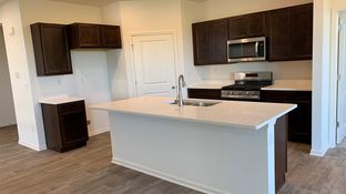 BRISTOL - Stonewater Single Family Ranch: Wonder Lake, Illinois - D.R. Horton