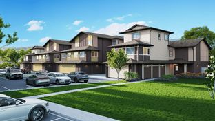 PLAN C301 - Kapili at Ho'opili Pohaku Estates: Kapolei, Hawaii - D.R. Horton