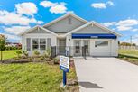 Mandarin Grove - Palmetto, FL