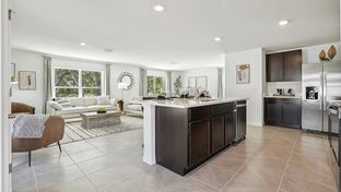 Elston - Twisted Oaks: Wildwood, Florida - D.R. Horton