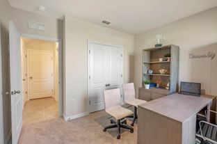 HAYDEN - Summerlin at Hawthorne Ranch: Lakeland, Florida - D.R. Horton