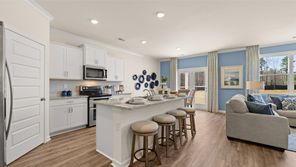 1060 AMERSON STREET (Hayden)