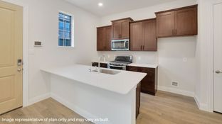 Lariat - Mustang Square: Plano, Texas - D.R. Horton