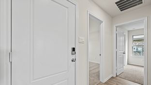 X40B Bellvue - Waverly Estates: Josephine, Texas - D.R. Horton Basic
