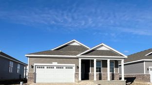 BRISTOL - Greenbriar Freedom Ranch Homes: Plainfield, Illinois - D.R. Horton