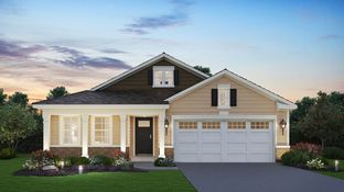 DOVER - Greenbriar Freedom Ranch Homes: Plainfield, Illinois - D.R. Horton