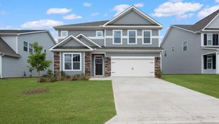 SUMMIT - Whitehawk Meadows: Travelers Rest, South Carolina - D.R. Horton