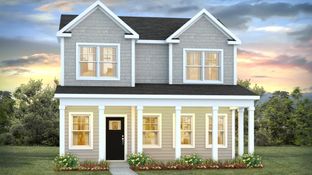 POPLAR - The Cove at Mallard Crossing: Summerville, South Carolina - D.R. Horton Basic