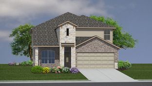 The Stallion - Brookstone Creek: San Antonio, Texas - D.R. Horton