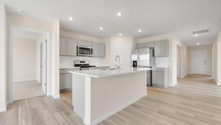 Erie - Livingston Lakes Paired Villas: Fort Wayne, Indiana - D.R. Horton Basic
