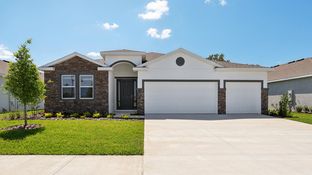 Destin - Twisted Oaks: Wildwood, Florida - D.R. Horton