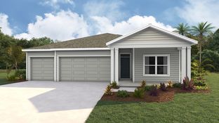 Madison - Avalon Woods: Newberry, Florida - D.R. Horton