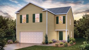 Aisle - Paddock Point: Roebuck, South Carolina - D.R. Horton