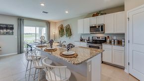 Oakfield Lakes - Palmetto, FL
