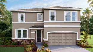 Coral - Deerbrook: Land O' Lakes, Florida - D.R. Horton Basic