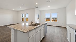 Palomino - Manor, TX