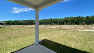 CALI - Sease's Pond: Gilbert, South Carolina - D.R. Horton