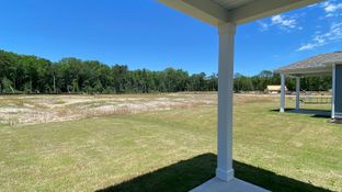CALI - Sease's Pond: Gilbert, South Carolina - D.R. Horton
