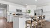 casa en The Bluffs at Mill Creek por D.R. Horton Basic