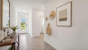 Allex II - Deerbrook: Land O' Lakes, Florida - D.R. Horton Basic