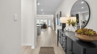 Holly - The Landing at Hidden Lakes: McKinney, Texas - D.R. Horton