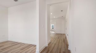 Oakley - Caballeros Estates At Hombre: Panama City Beach, Florida - D.R. Horton