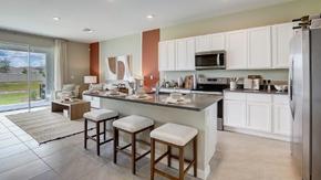 Meadow Ridge at Epperson - Wesley Chapel, FL