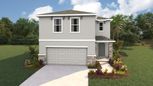Sandal Key - Weeki Wachee, FL