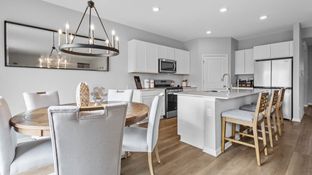 HENLEY - Cambridge Lakes North Traditional Single Family: Pingree Grove, Illinois - D.R. Horton