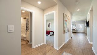 JUSTIN - The Enclave at Blackwood Farms: Oklahoma City, Oklahoma - D.R. Horton