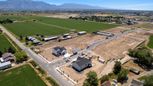 Palomino - Ogden, UT