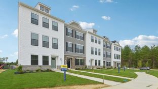 NORRIS - Pinegrove Townhomes: La Plata, District Of Columbia - D.R. Horton