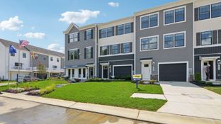 ADAMS - Pinegrove Townhomes: La Plata, District Of Columbia - D.R. Horton