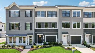 ADAMS - Pinegrove Townhomes: La Plata, District Of Columbia - D.R. Horton