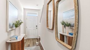 Harbor Landing - Palm Harbor, FL