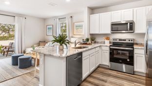 Harbor Landing por D.R. Horton Basic en Tampa-St. Petersburg Florida