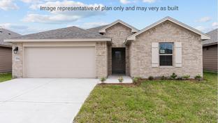 Elgin - Royal Oak South: Corpus Christi, Texas - D.R. Horton