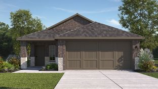 AMBER - Springhill South: Boyd, Texas - D.R. Horton