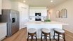 casa en The Enclave at Blackwood Farms por D.R. Horton